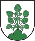 Wappen von Haslach im Kinzigtal